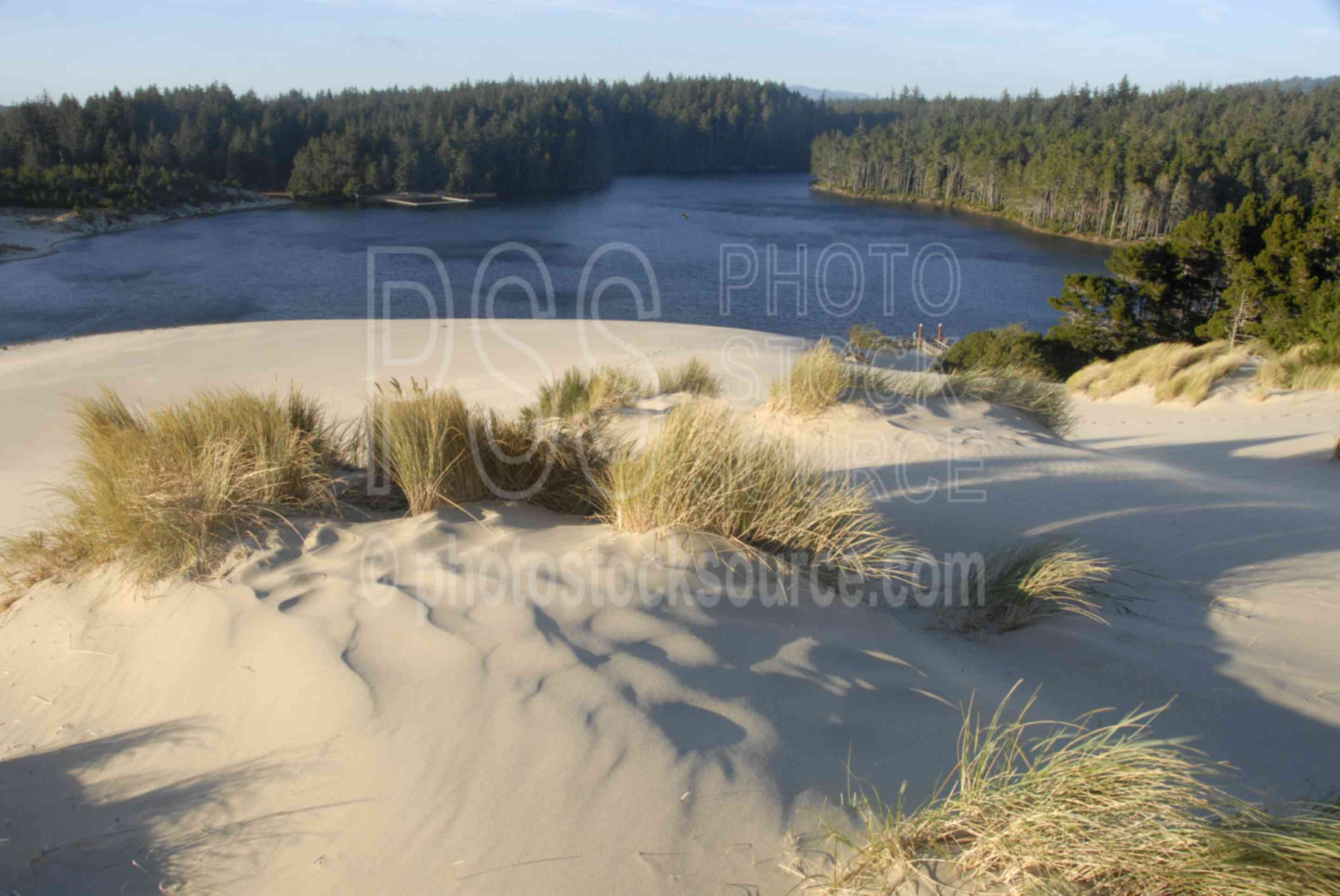 Cleawox Lake,sand,dune,dunes,grass,lake,lakes rivers,nature