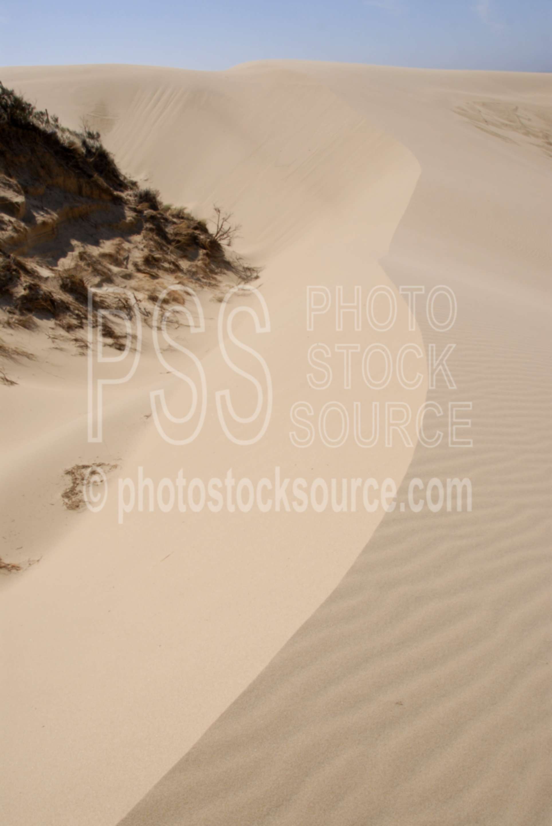 Wind Designs,dune,wind,sand,designs,nature