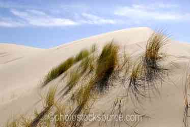 Oregon Coast gallery