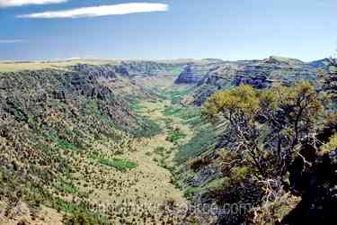 Steens Mountain gallery