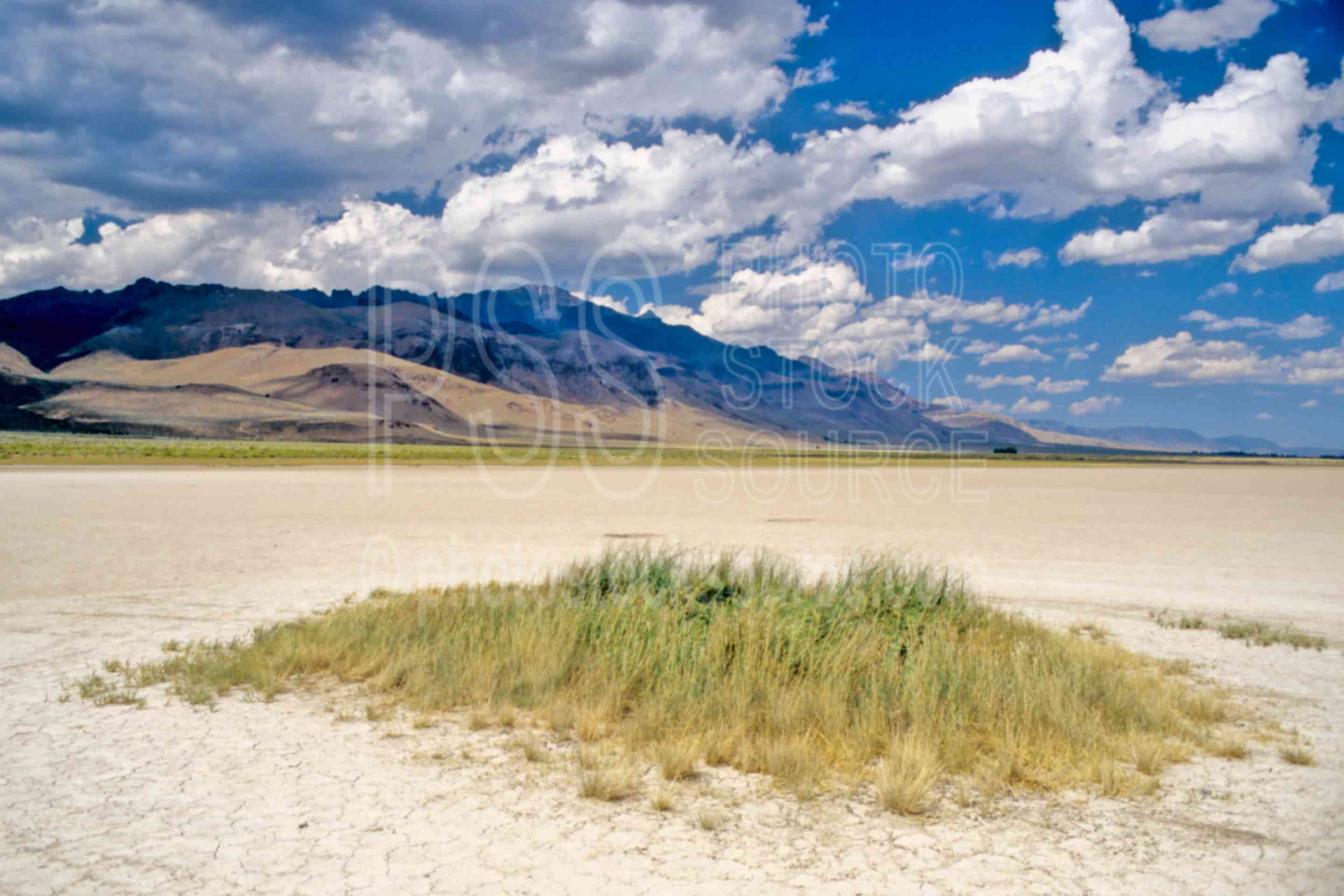 Alvord Desert,alkali flat,alkali,usas