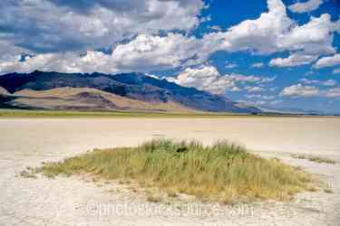 Steens Mountain gallery