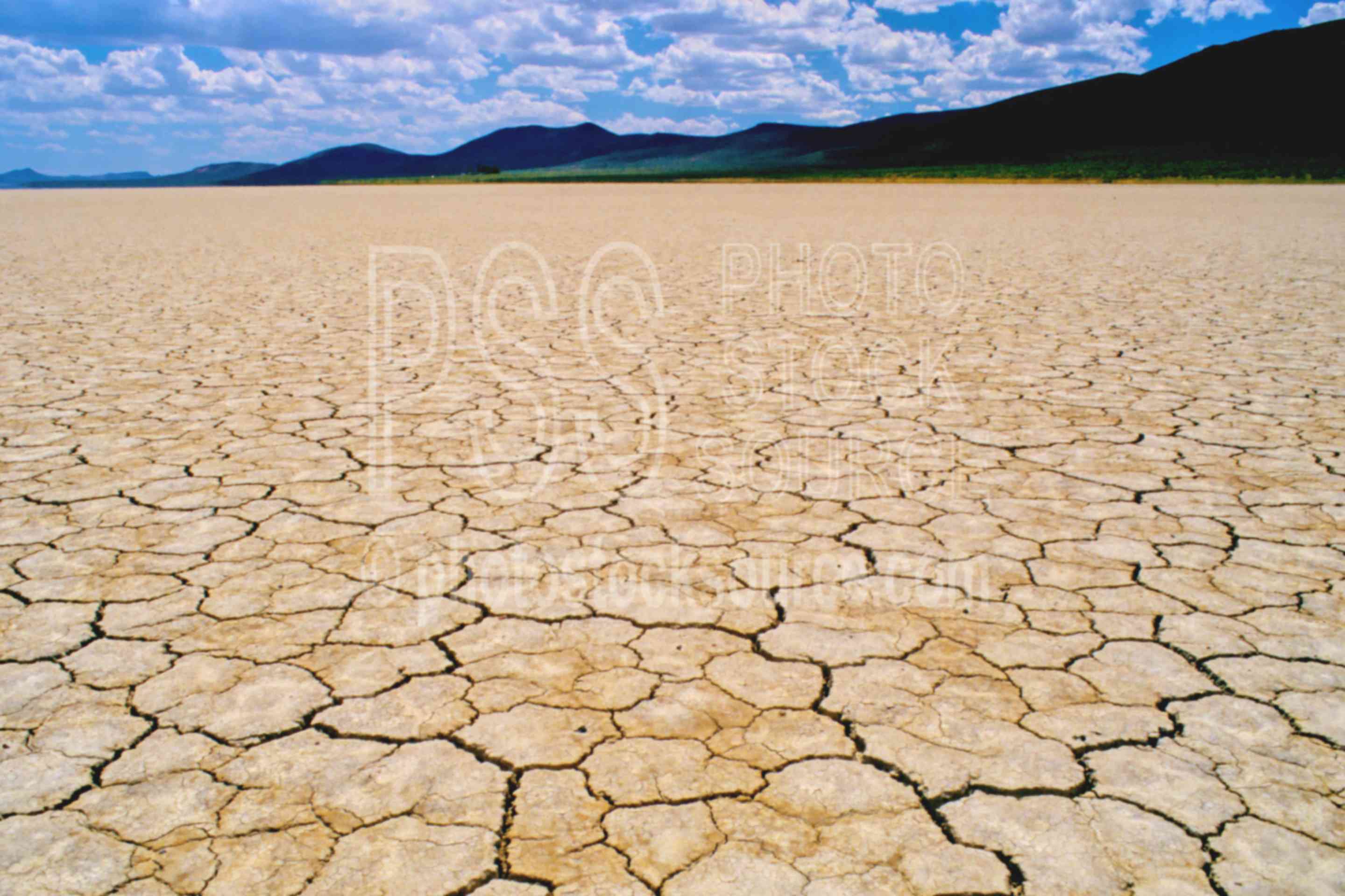 Alvord Desert,alkali flat,alkali,usas