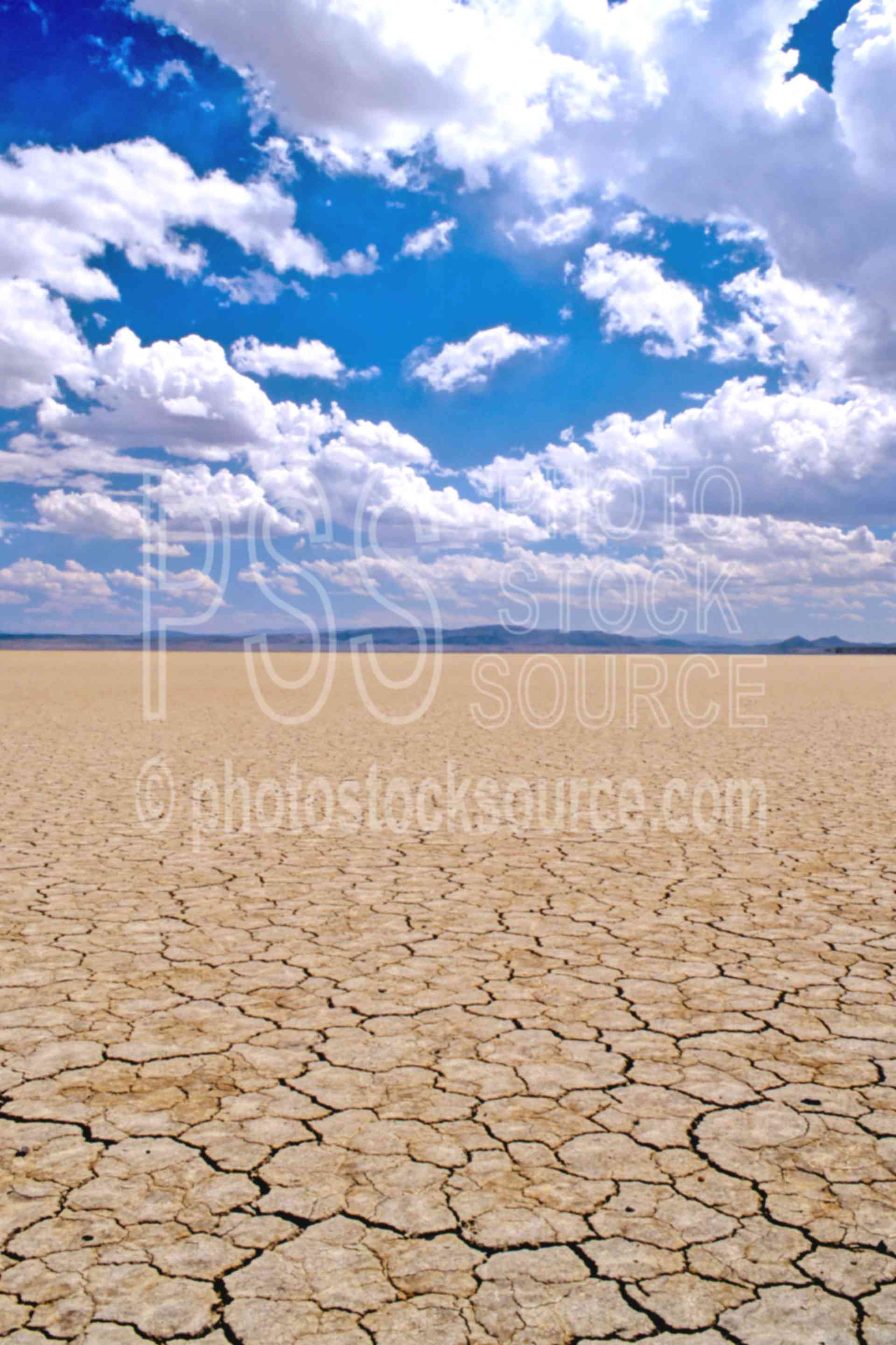 Alvord Desert,alkali flat,alkali,usas