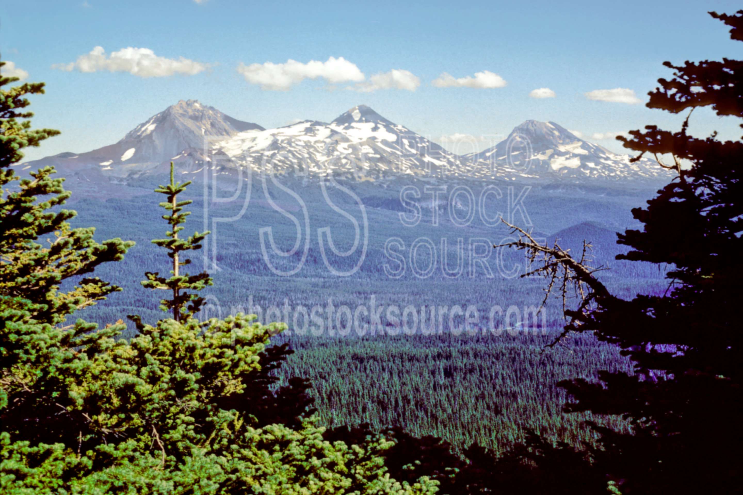 Three Sisters,north sister,middle sister,south sister,scott mt.,usas,mountains