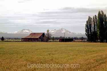 Oregon Mountains gallery