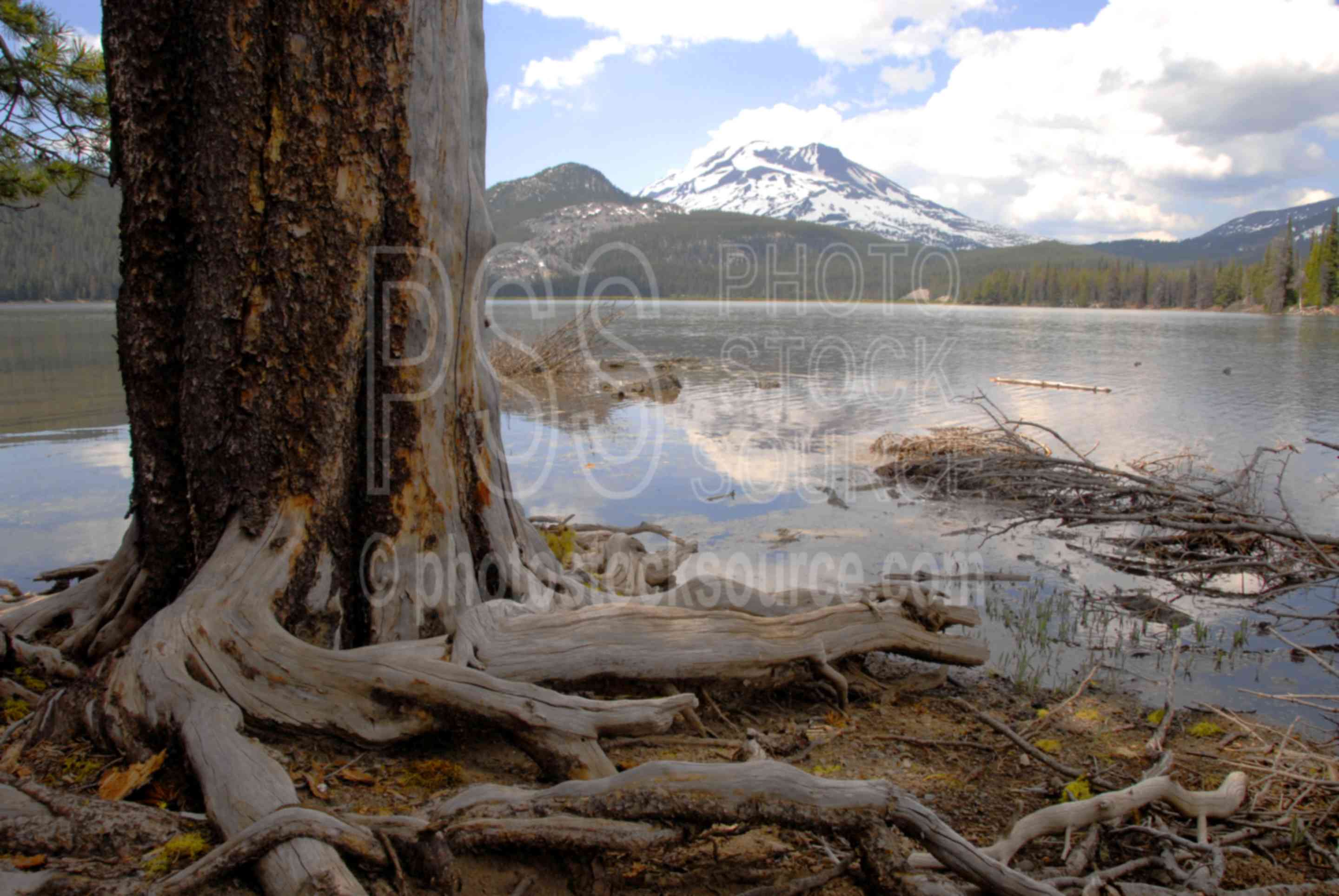 South Sister,three sisters,three sisters wilderness,wilderness,snow,sparks lake,lake,tree,tree roots,lakes rivers,mountains