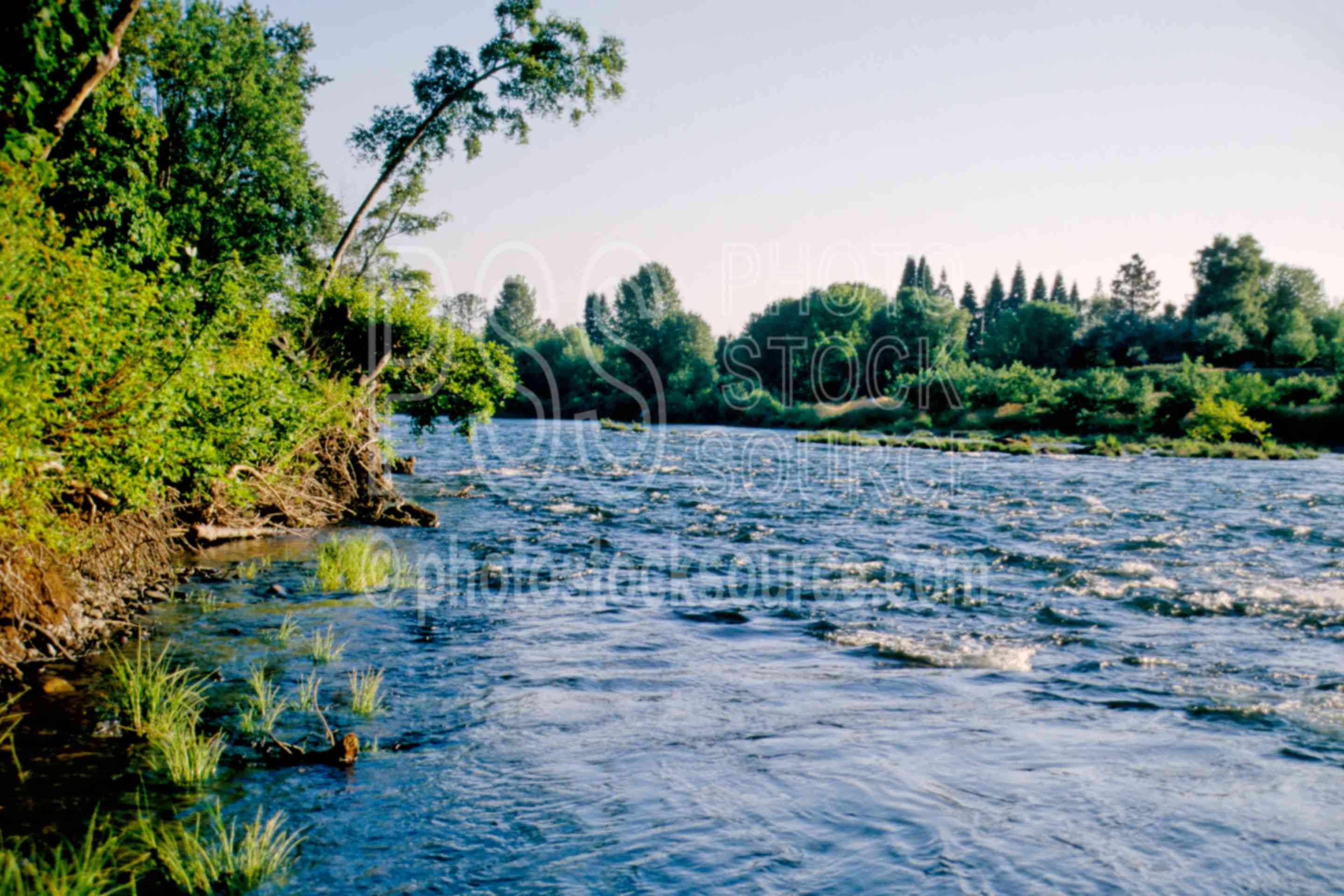 Umpqua River,river bank,usas,lakes rivers