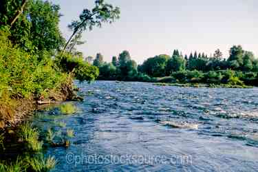 Umpqua River gallery