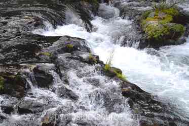 Umpqua River gallery