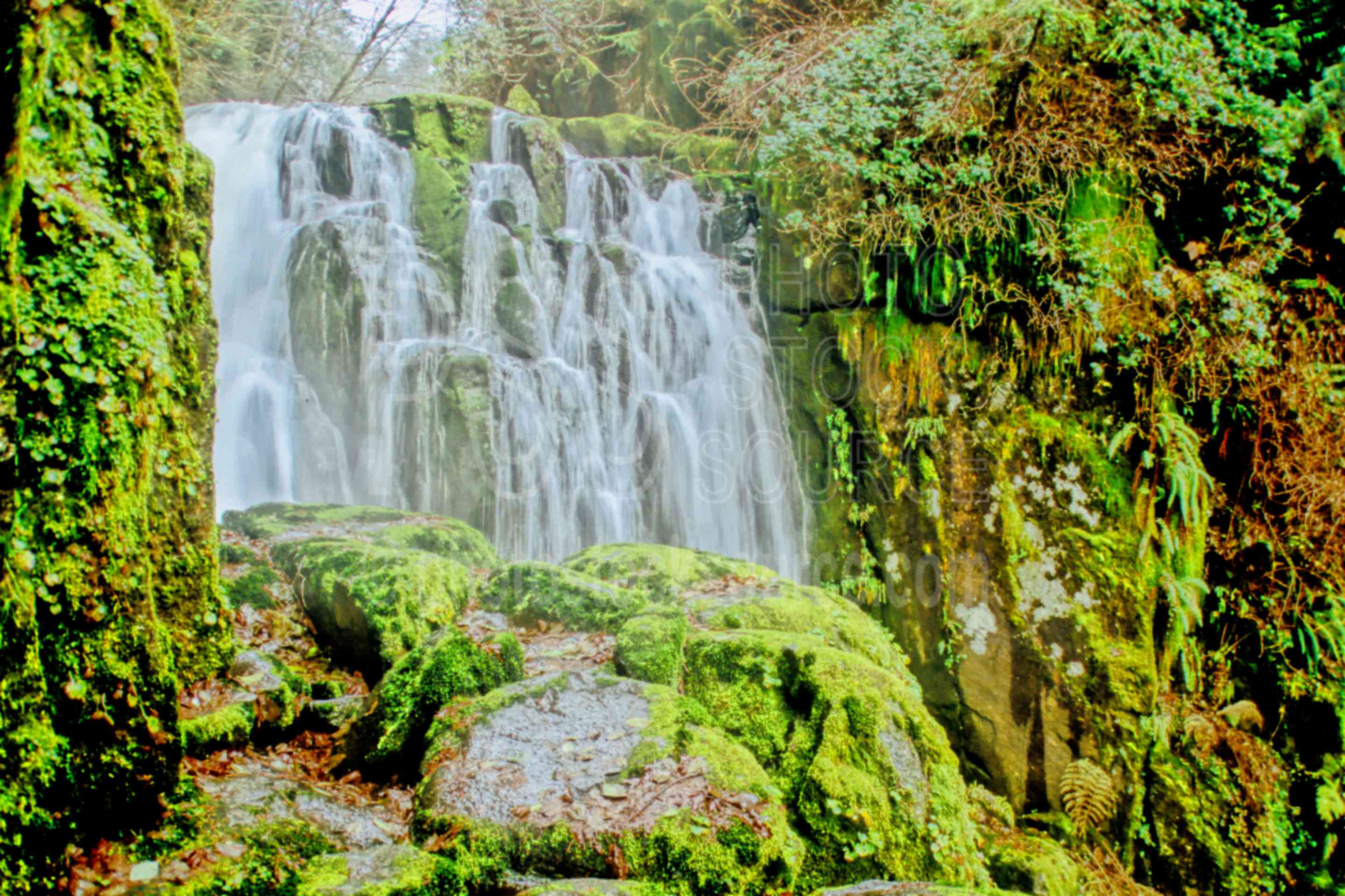 Upper Sweet Creek Falls,falls,cascade,creek,usas,nature,waterfalls