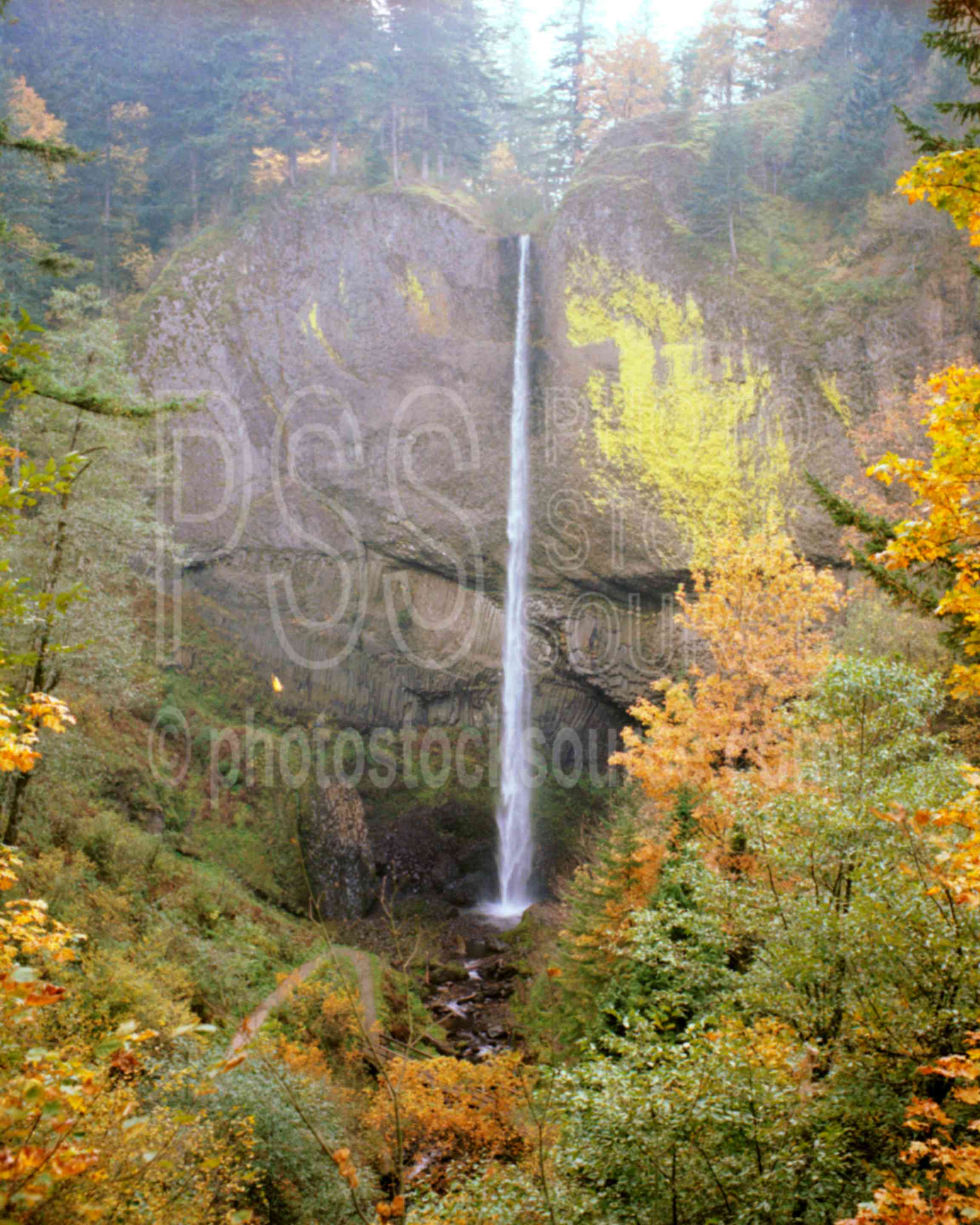 Latourell Falls,columbia river gorge,falls,water,usas,lakes rivers,nature,waterfalls