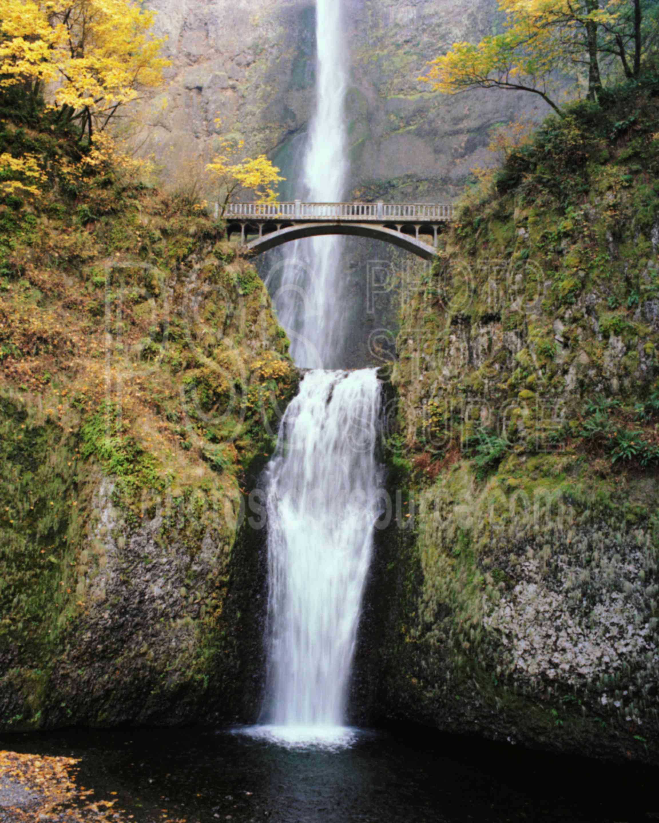 Multnomah Falls,columbia river gorge,falls,water,usas,lakes rivers,nature,waterfalls
