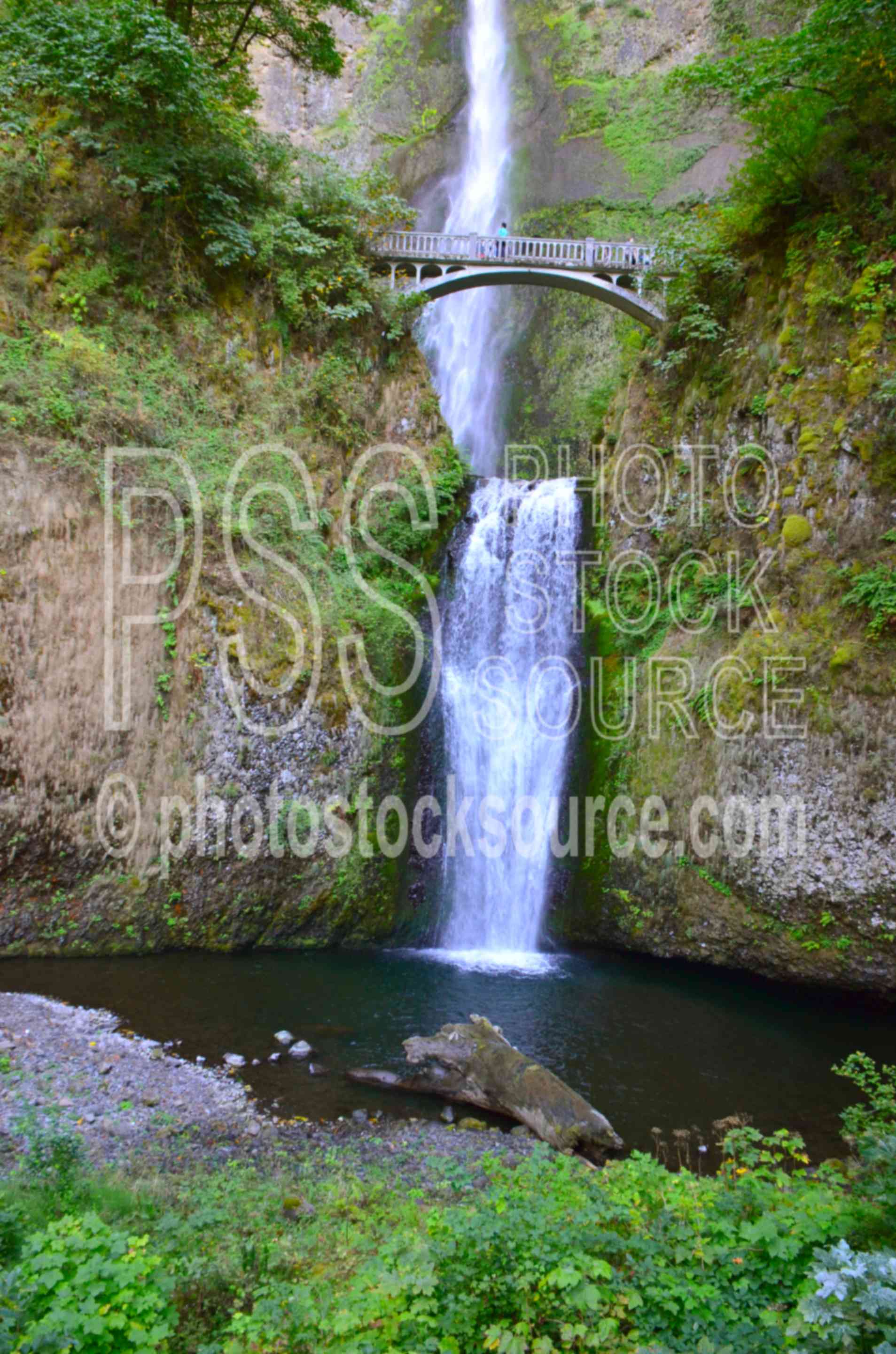 Multnomah Falls,falls,waterfall,bridge,tallest,water