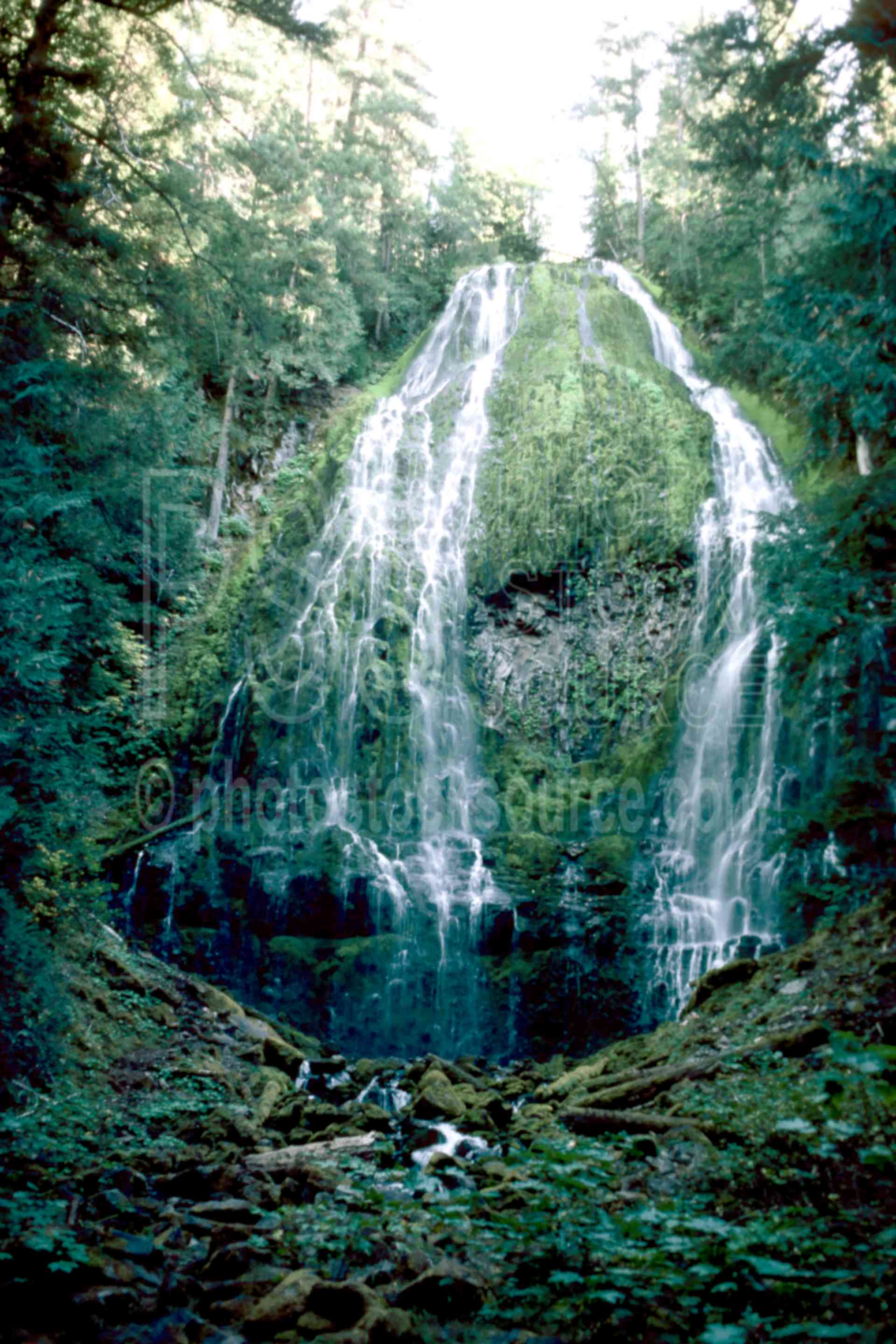 Lower Proxy Falls,falls,water,usas,nature,waterfalls