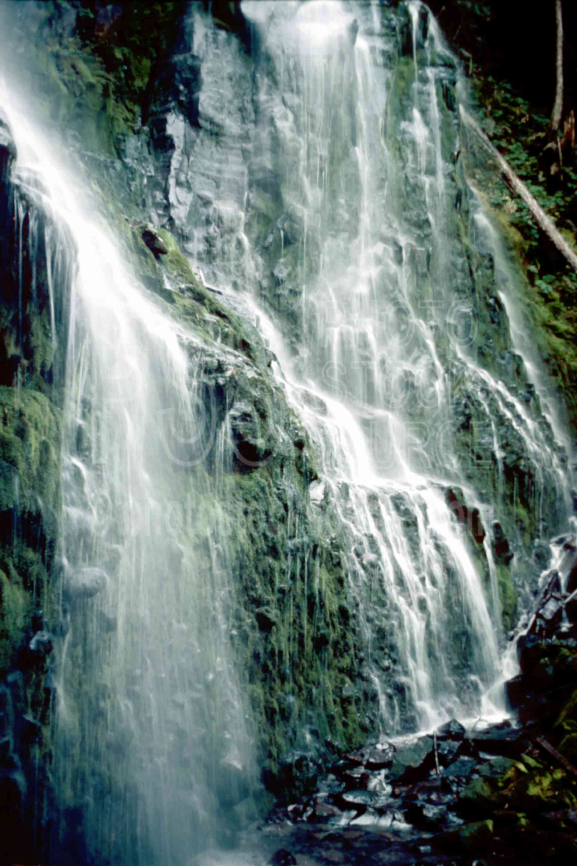Lower Proxy Falls,falls,water,usas,nature,waterfalls