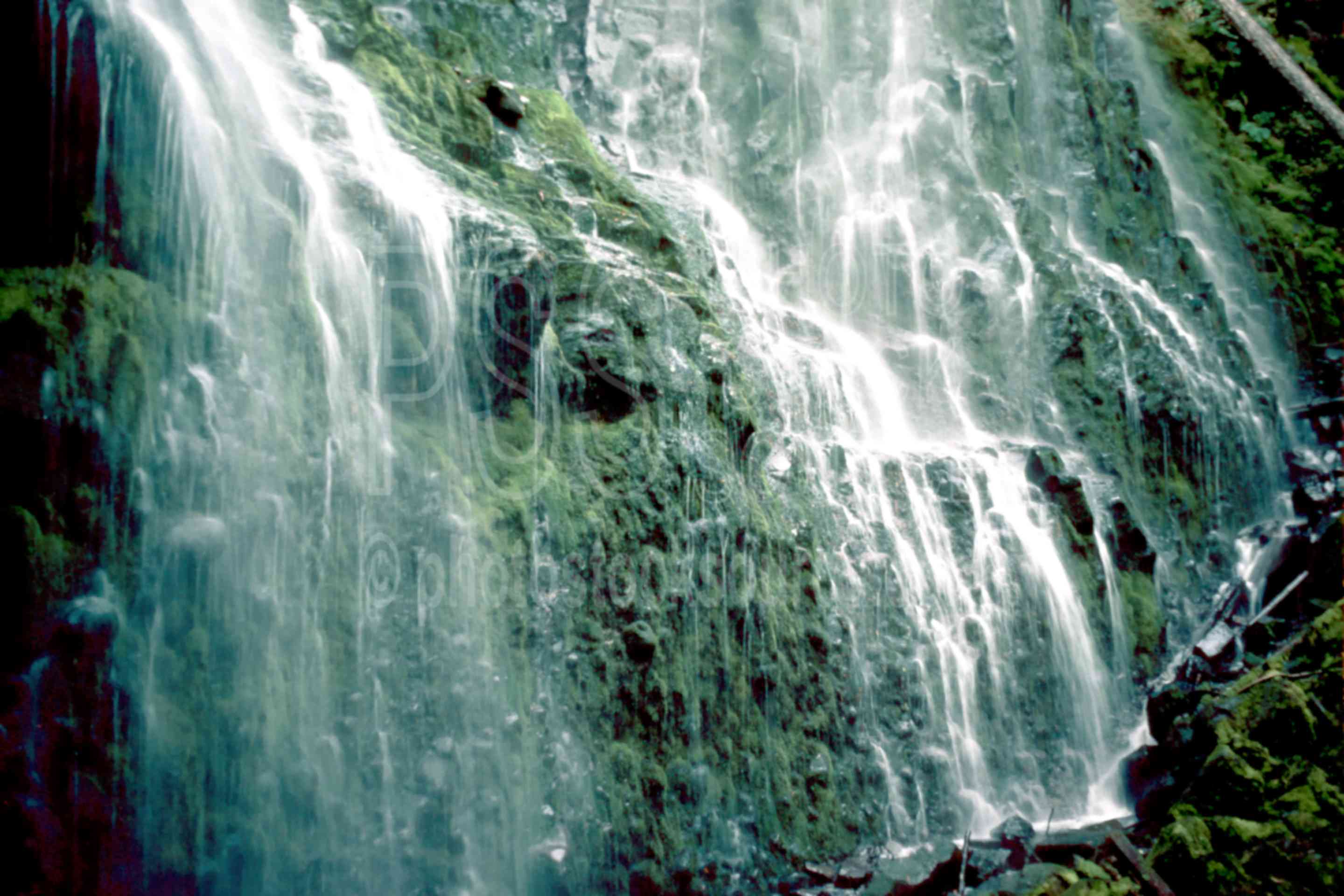 Lower Proxy Falls,falls,water,usas,nature,waterfalls