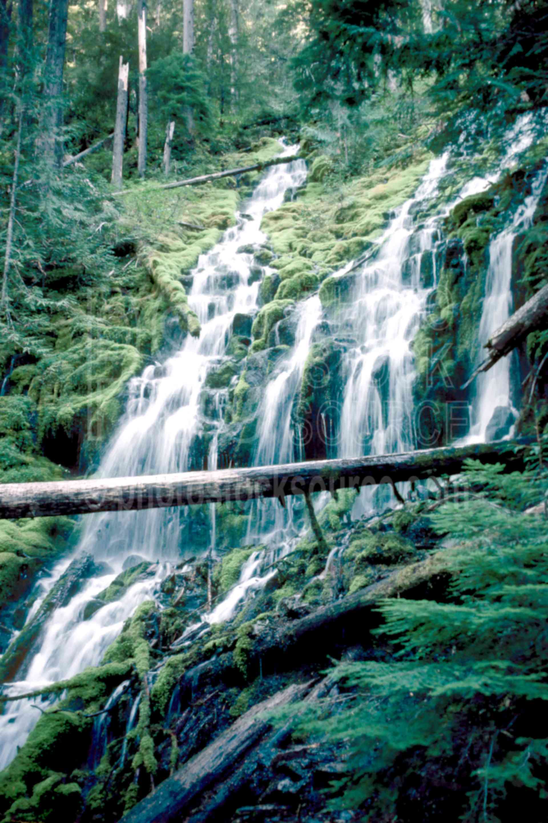 Upper Proxy Falls,falls,water,usas,nature,waterfalls