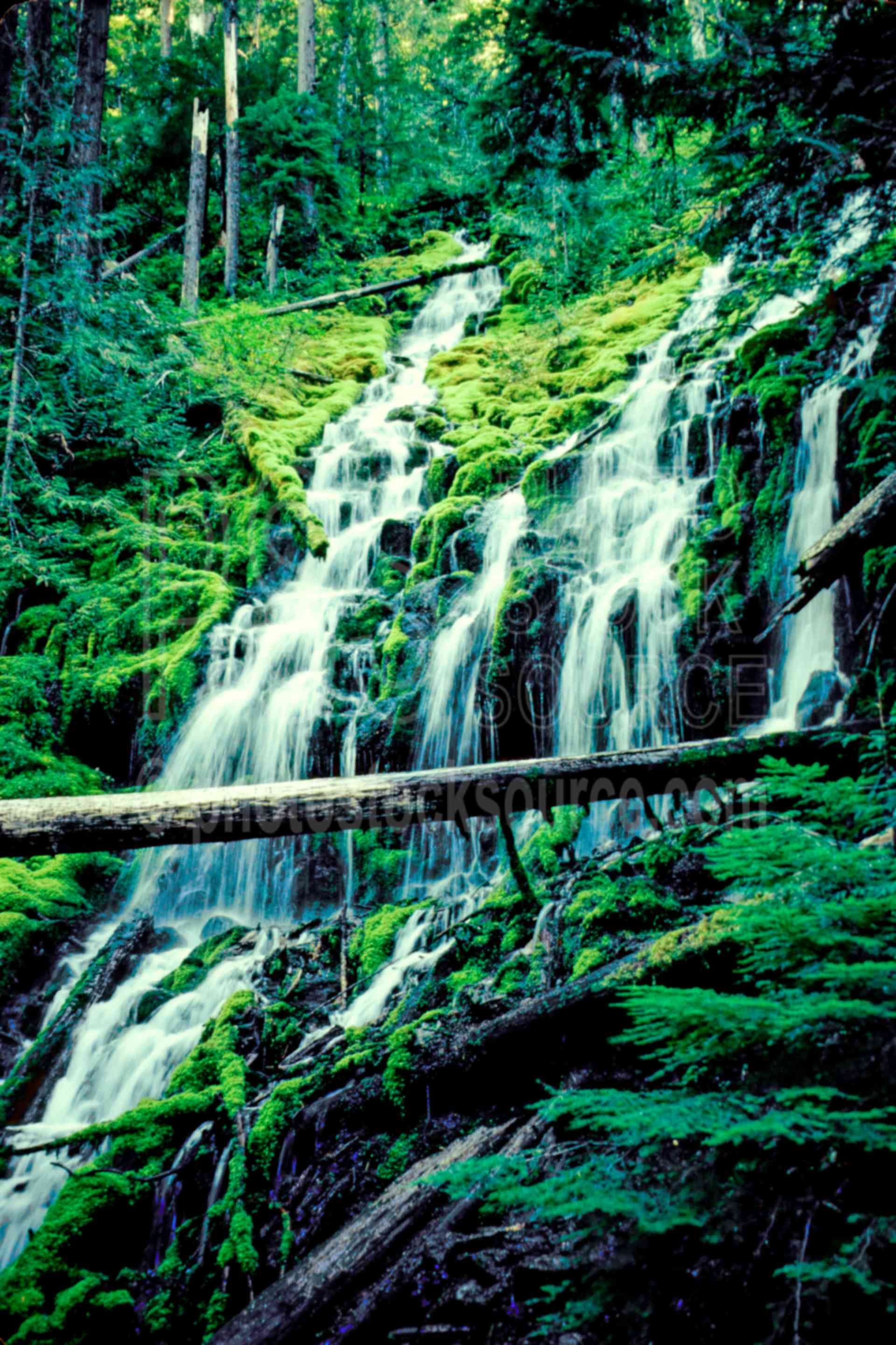 Upper Proxy Falls,mckenzie pass,water,usas,nature,waterfalls