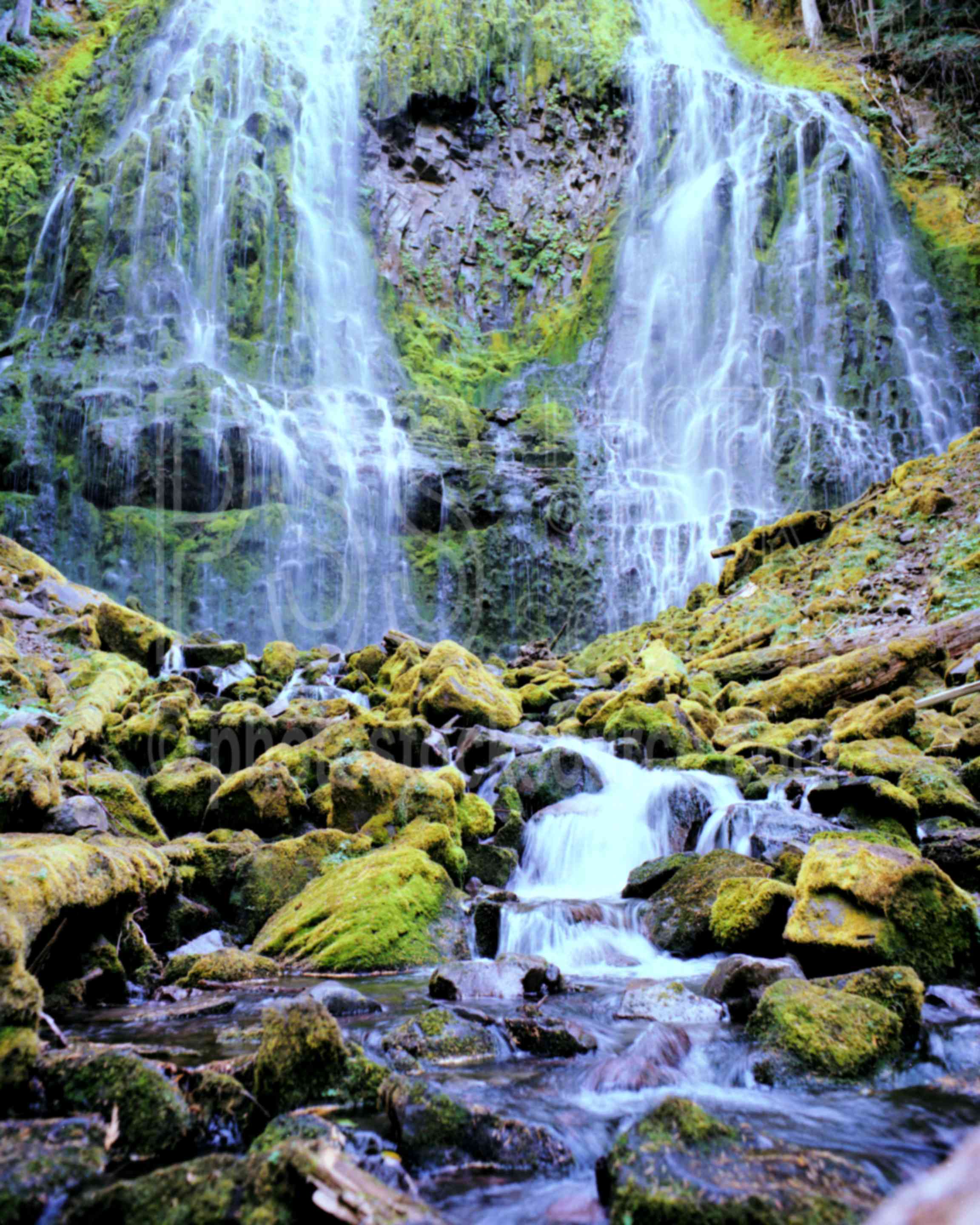 Lower Proxy Falls,proxy falls,water,usas,nature,waterfalls