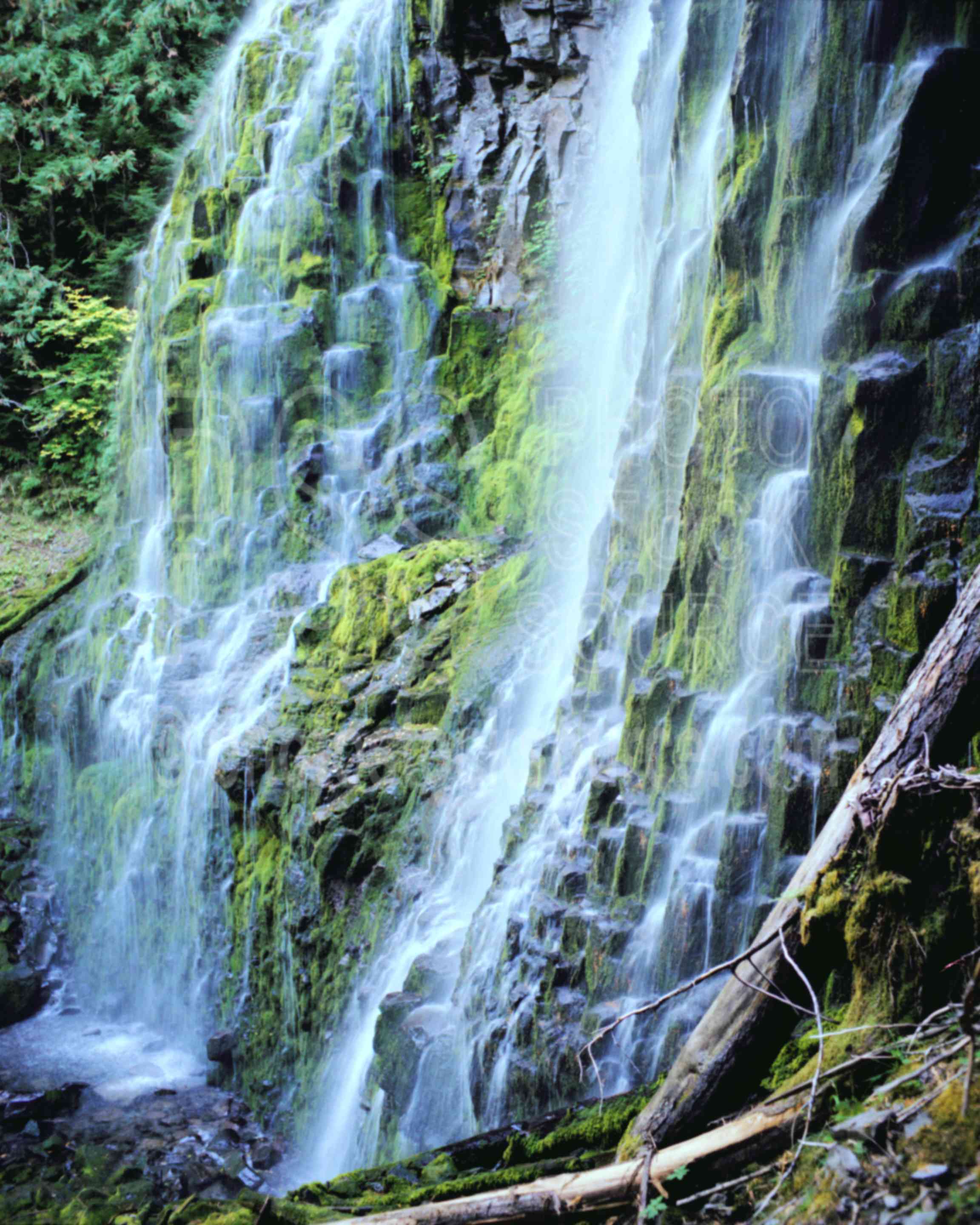 Lower Proxy Falls,proxy falls,water,usas,nature,waterfalls