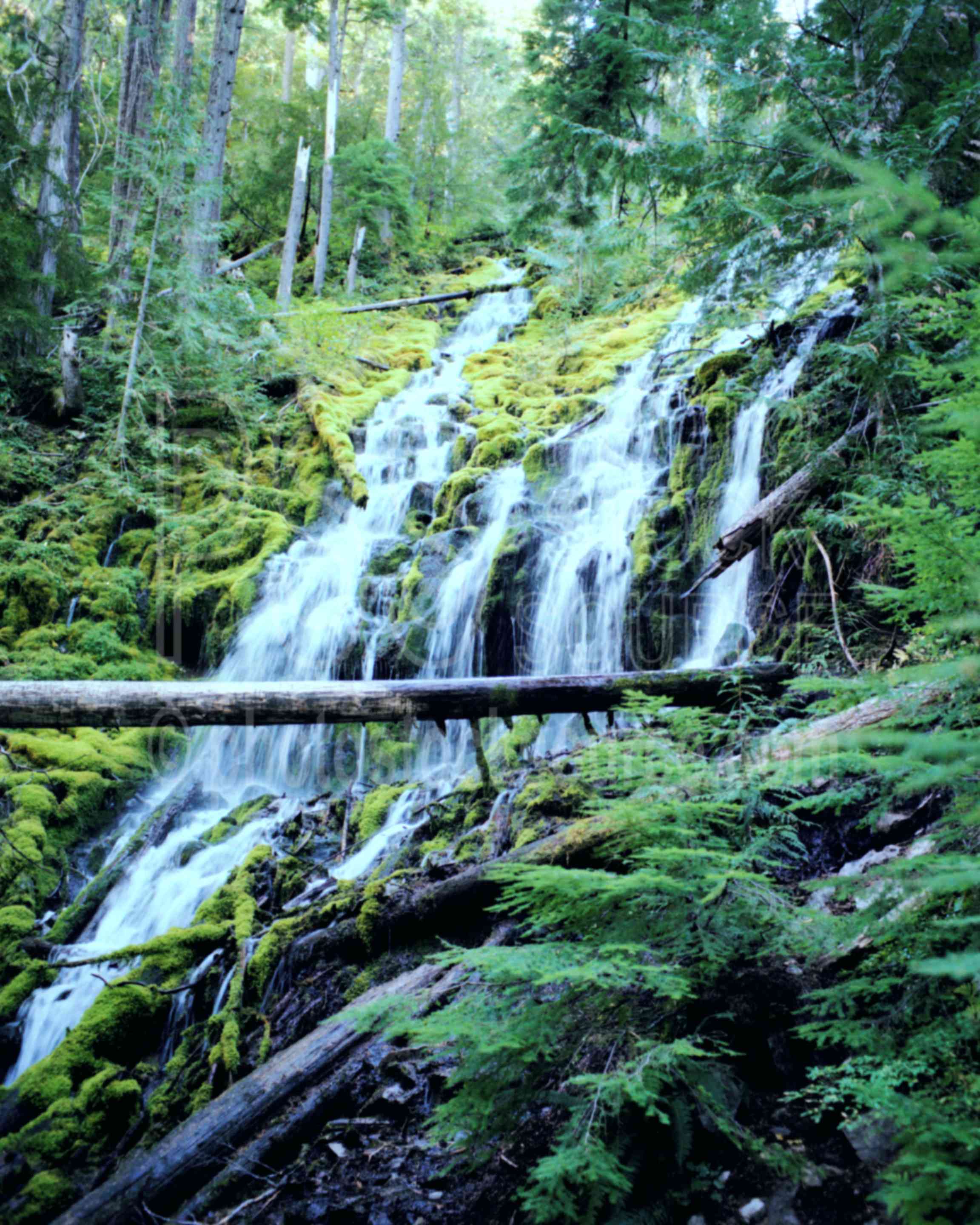 Upper Proxy Falls,proxy falls,water,usas,nature,waterfalls