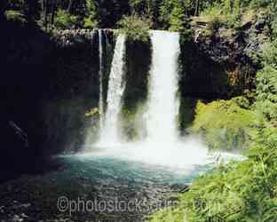 McKenzie River gallery