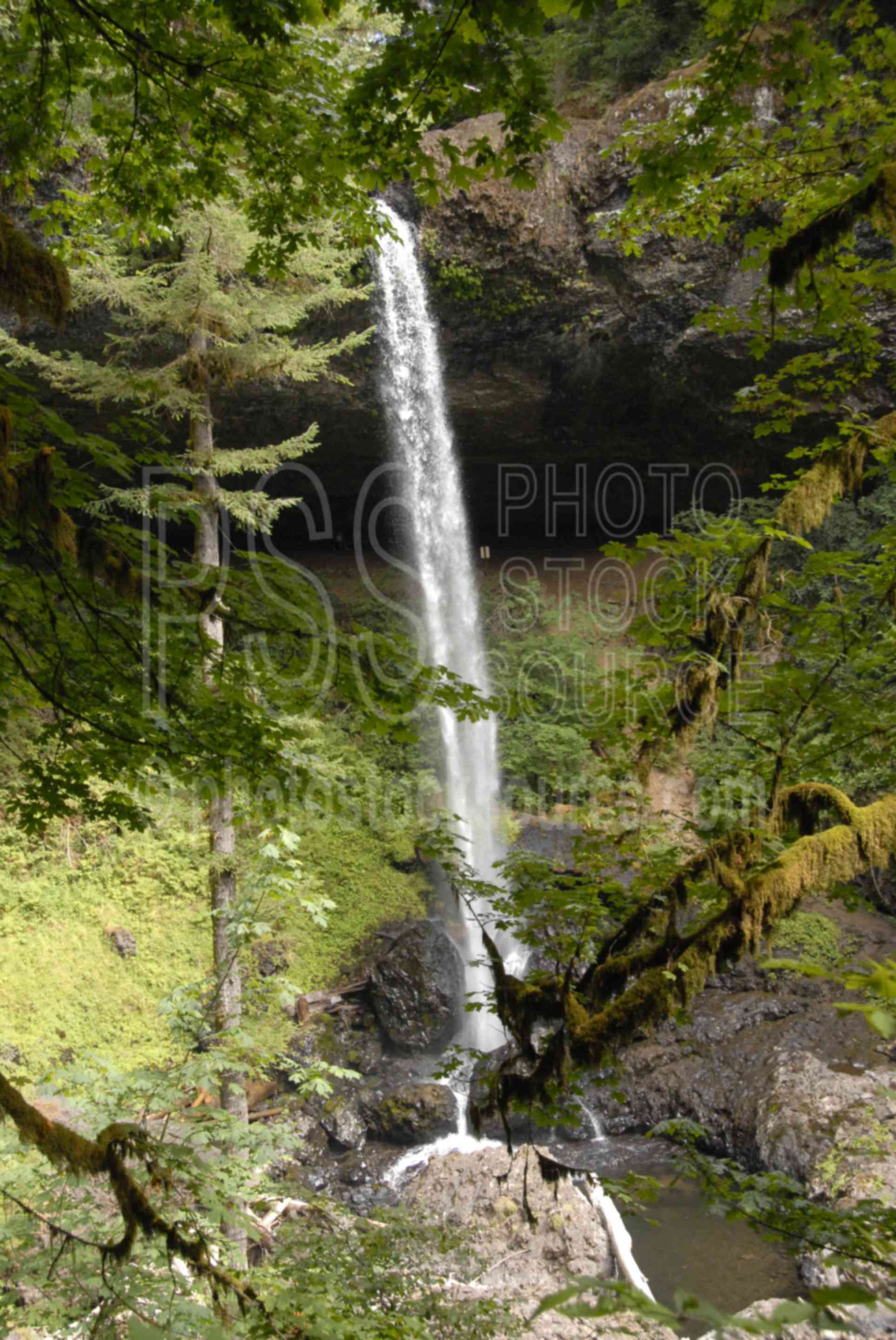 North Falls,falls,silver creek falls,nature,waterfalls