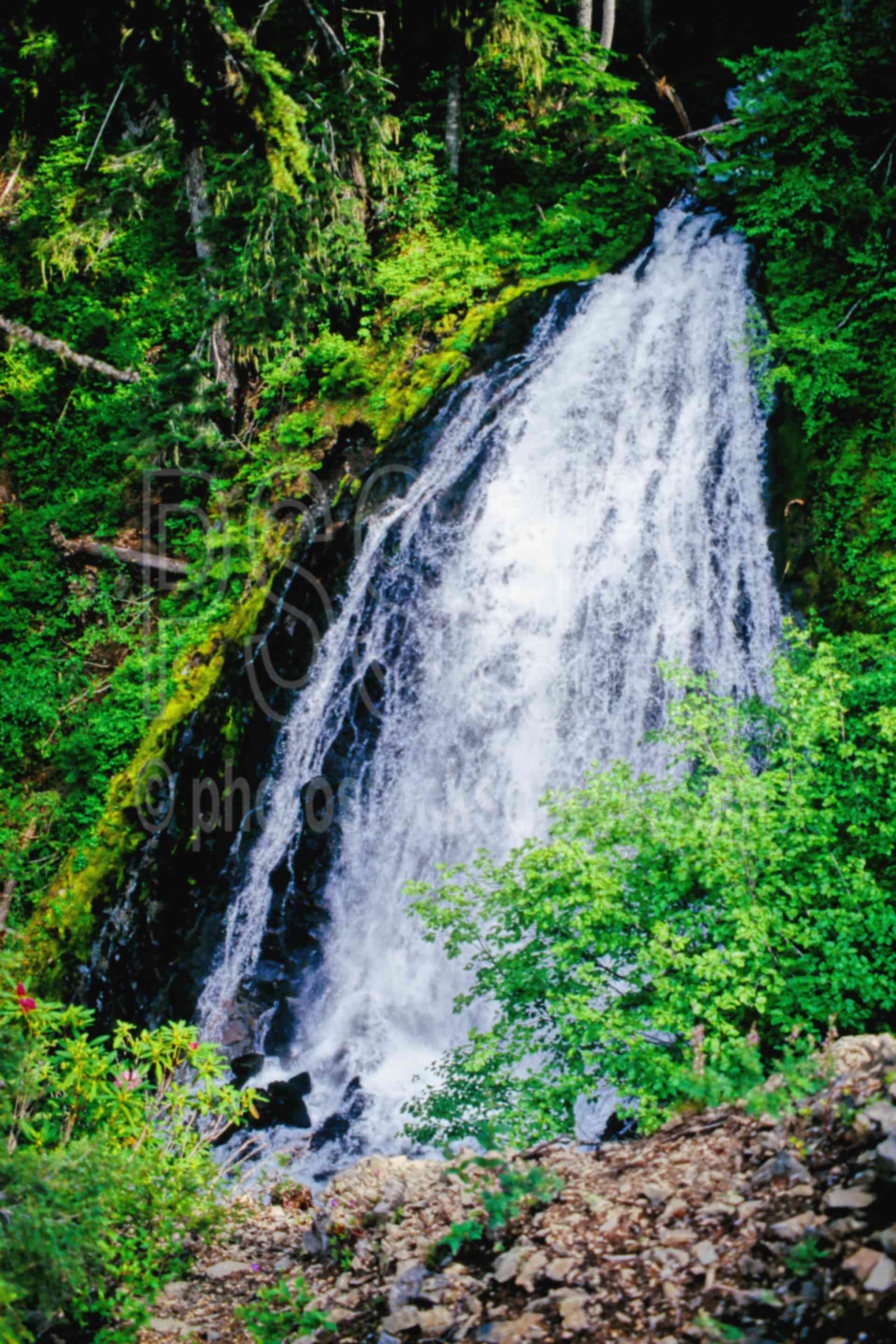 Fall Creek Falls,falls,usas,nature,waterfalls