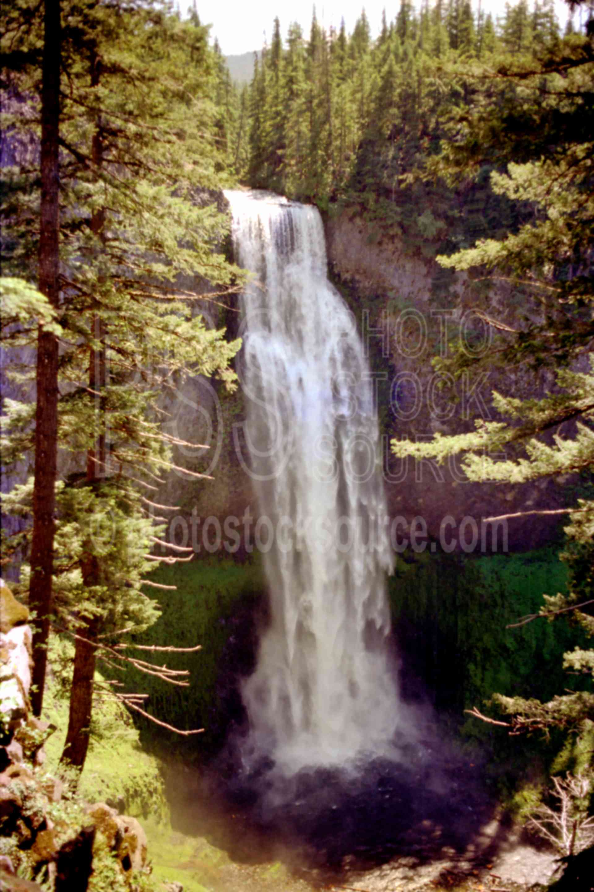 Salt Creek Falls,falls,water,usas,nature,waterfalls
