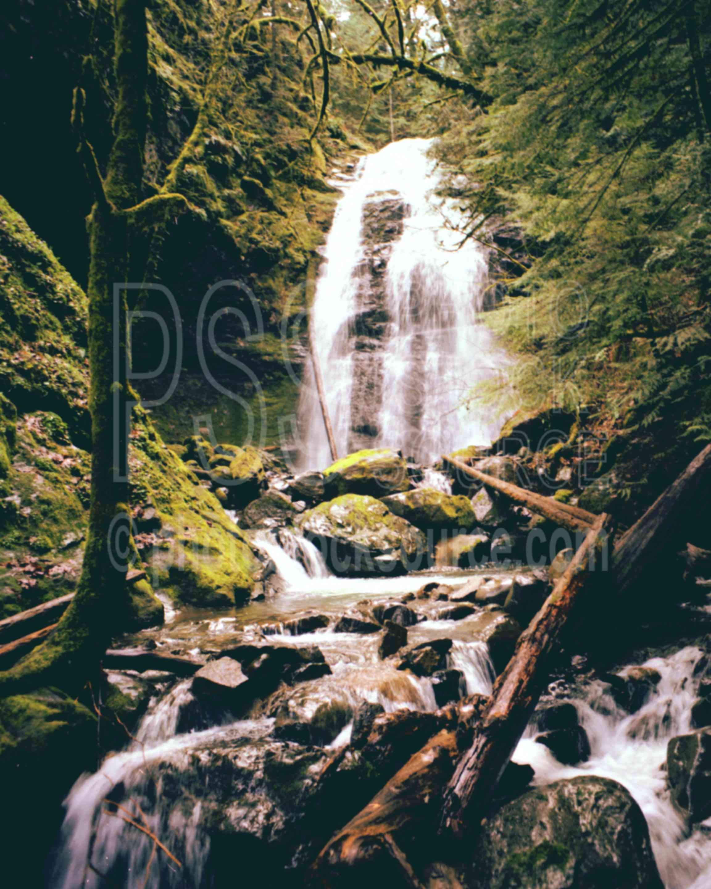 Bridge Creek Falls,creek,water,usas,nature,waterfalls