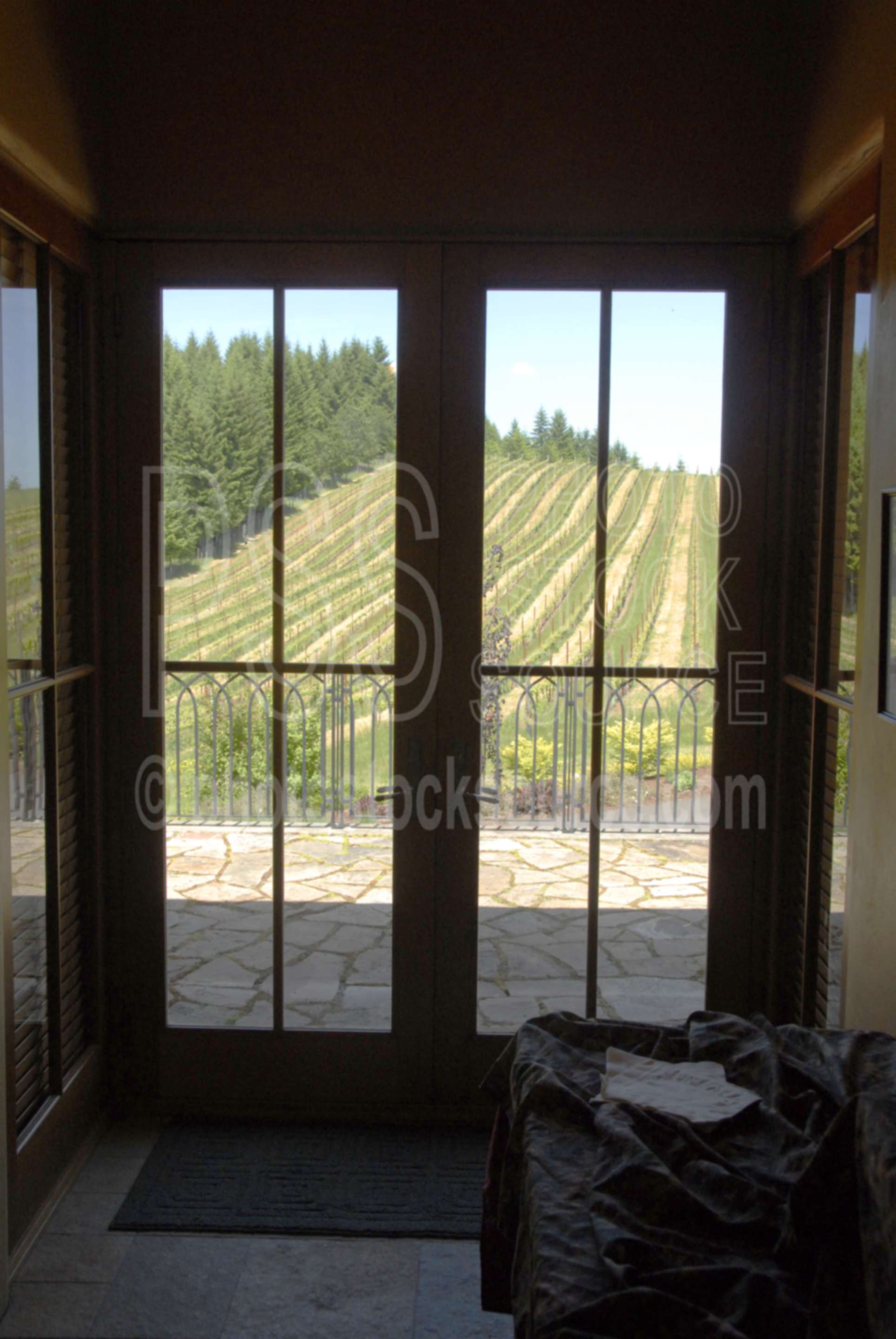 Iris Hill Winery,vines,vineyard,door