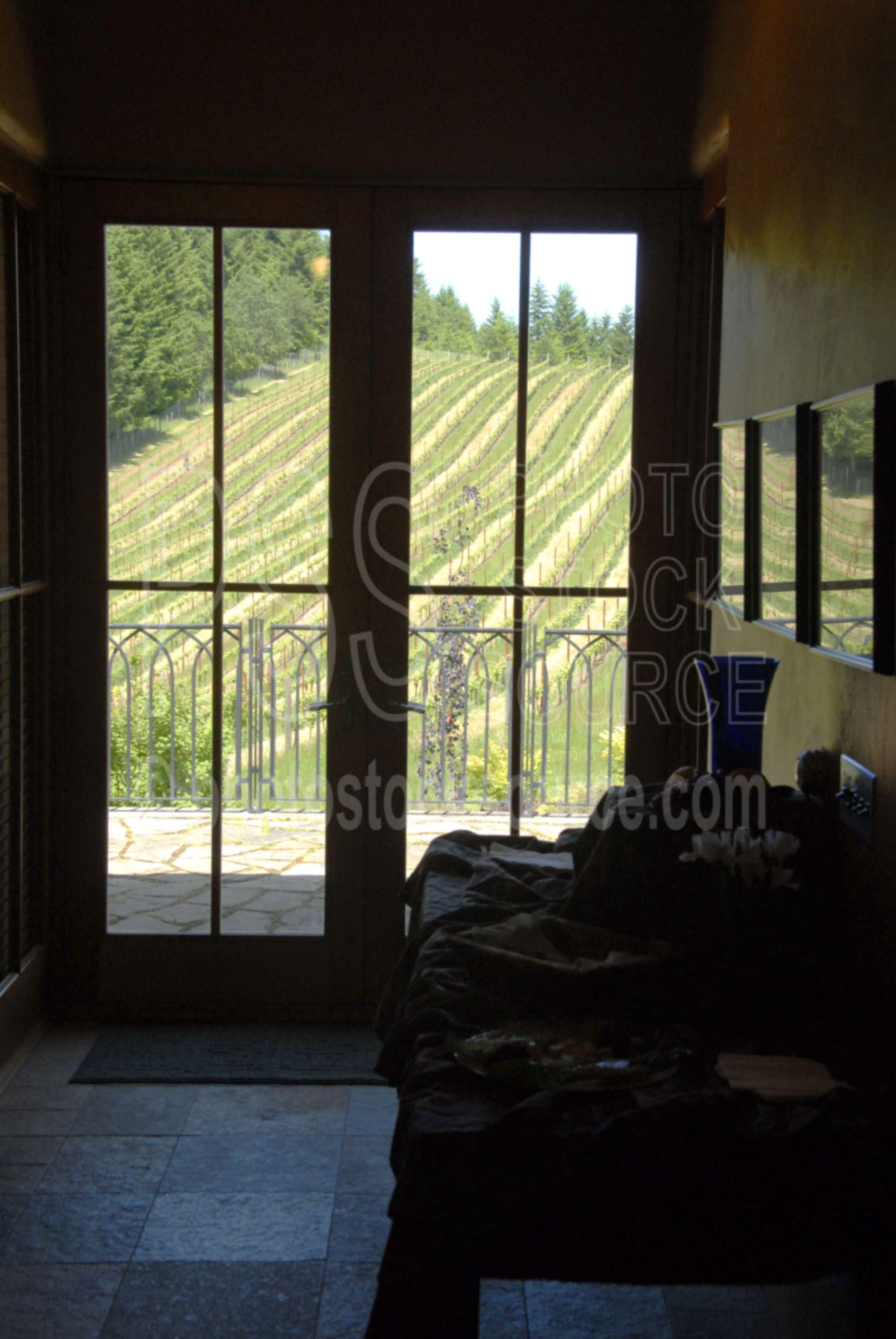 Iris Hill Winery,vines,vineyard,door