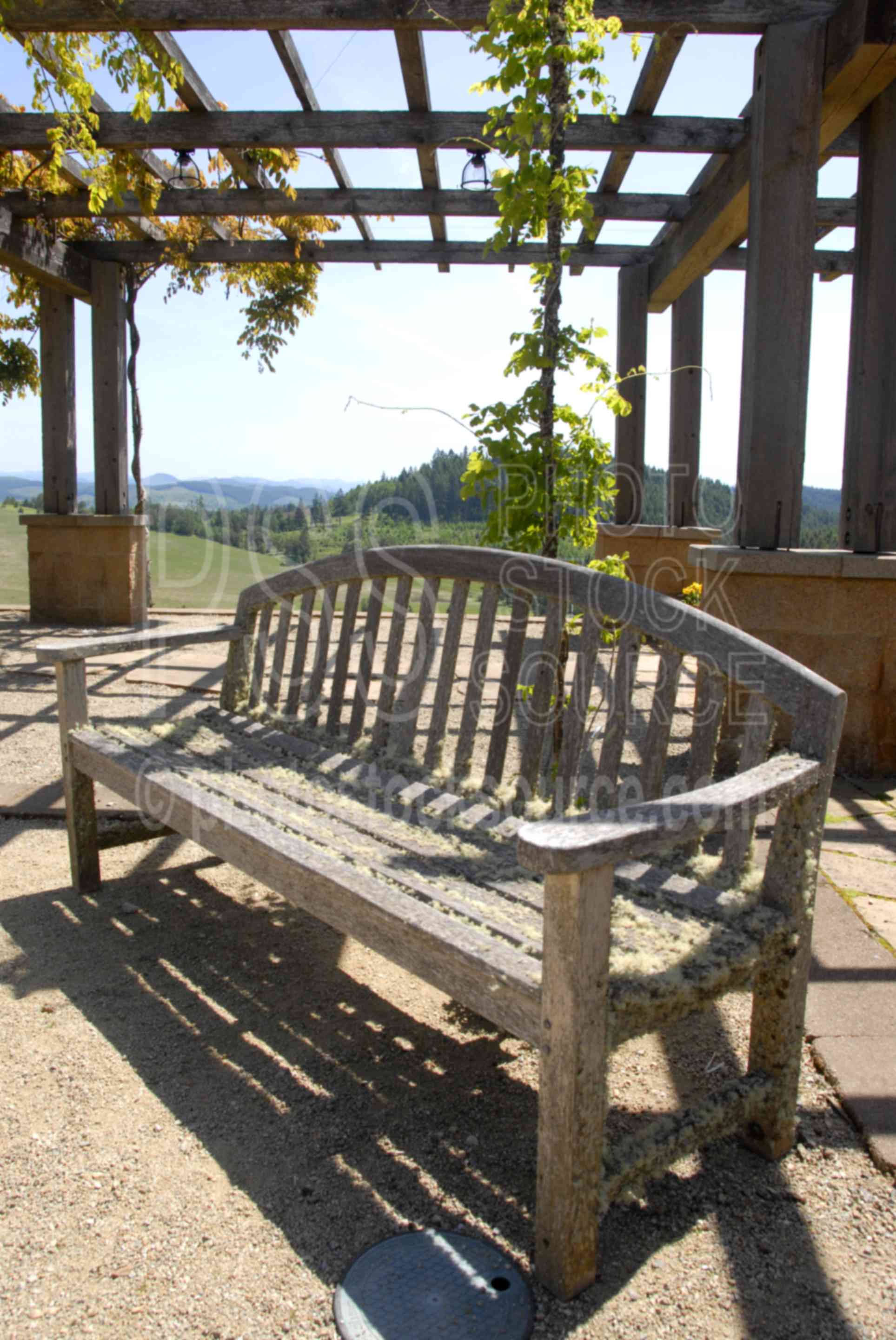 Weathered Wood Bench,wood,bench,wooden,sitting,furniture,courtyard,trellis