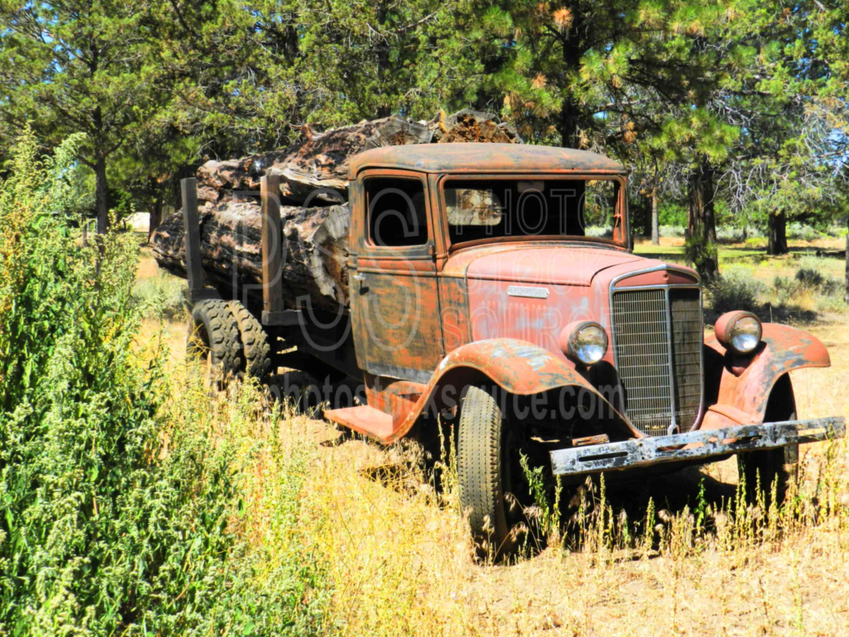 Rusting Log Truck,truck,rust,logging,antique,logs,historic