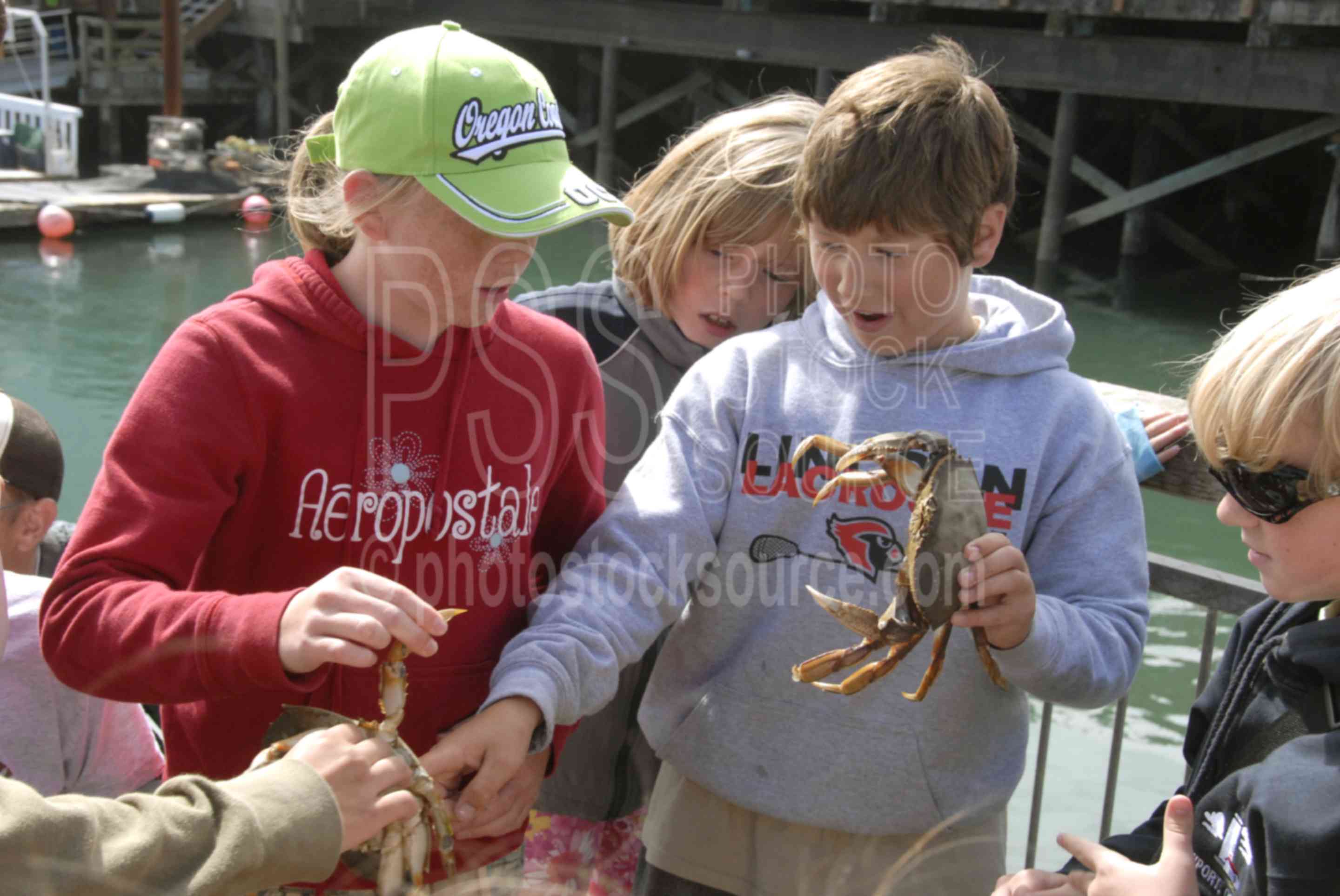 Children and Crabs,crab,dungeness crab,kids,boys,girls